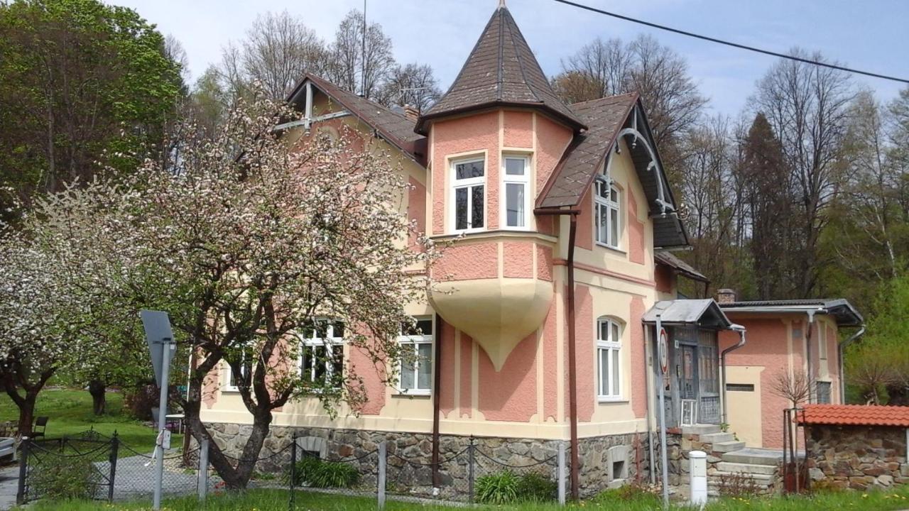 Apartmany Villa Magnolie Lipová-lázně Eksteriør billede